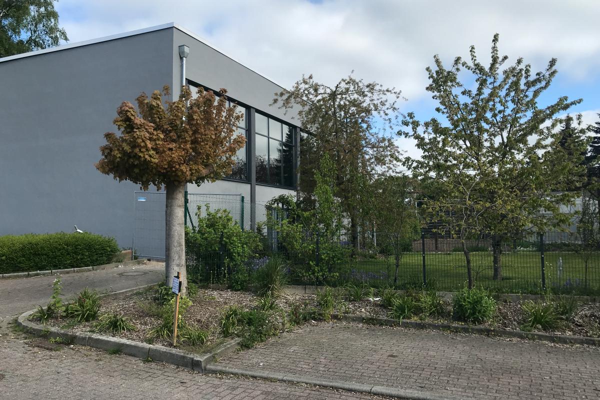 Architekt Köhler Neustadt Grundschule 01